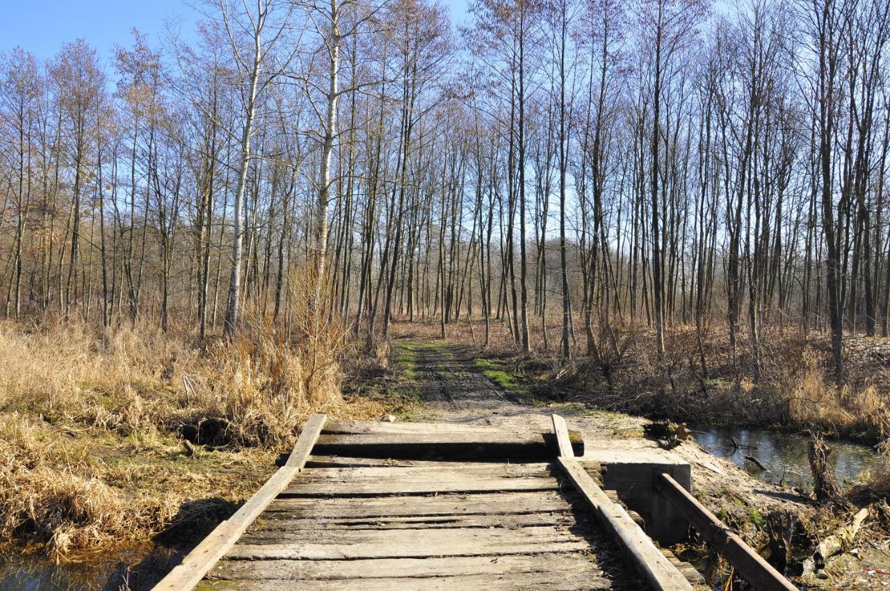 Antoniowka Dom Letniskowy W Dolinie Bugu Koden Kültér fotó